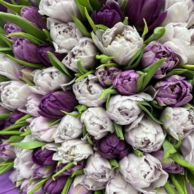 Букет из 101 пионовидного тюльпана