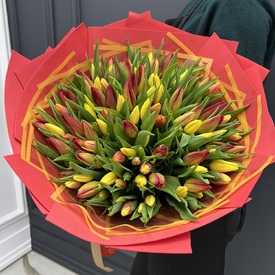 Букет из 101 тюльпана микс