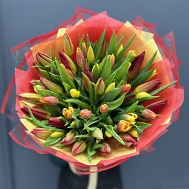 Букет из 51 тюльпана 