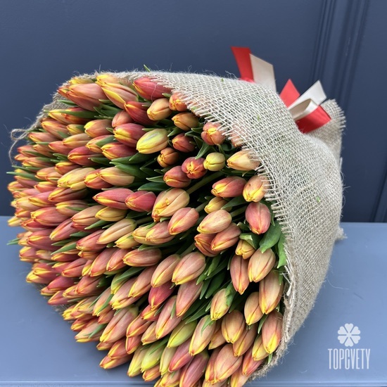 Букет из 201 тюльпана 