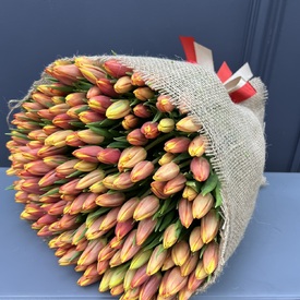 Букет из 201 тюльпана 