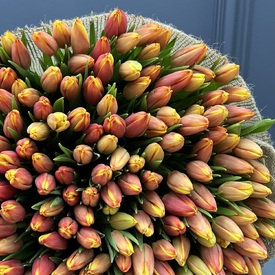 Букет из 201 тюльпана 