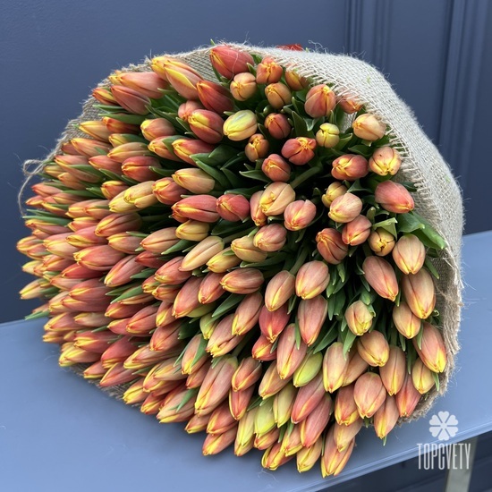Букет из 201 тюльпана 