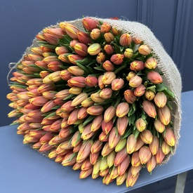 Букет из 201 тюльпана 