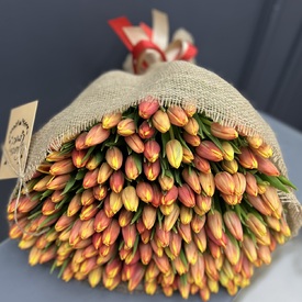 Букет из 201 тюльпана 