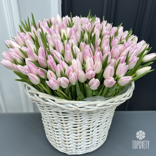 Букет из 201 тюльпан в корзине