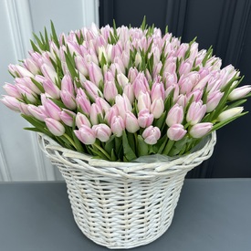 Букет из 201 тюльпан в корзине