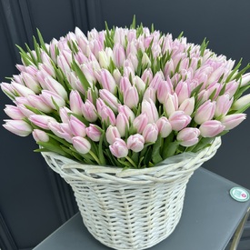 Букет из 201 тюльпан в корзине