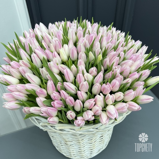 Букет из 201 тюльпан в корзине