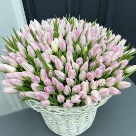 Букет из 201 тюльпан в корзине