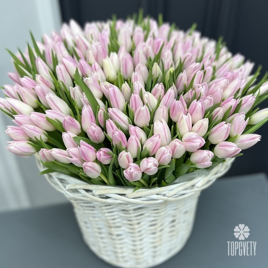 Букет из 201 тюльпан в корзине