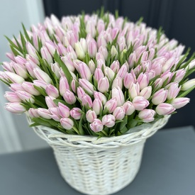 Букет из 201 тюльпан в корзине