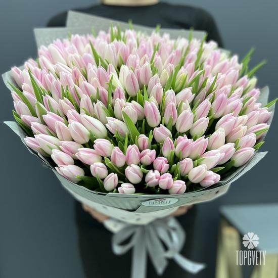 Букет из 251 тюльпана