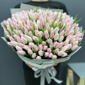 Букет из 251 тюльпана
