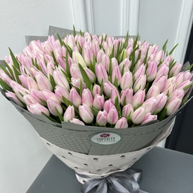 Букет из 251 тюльпана