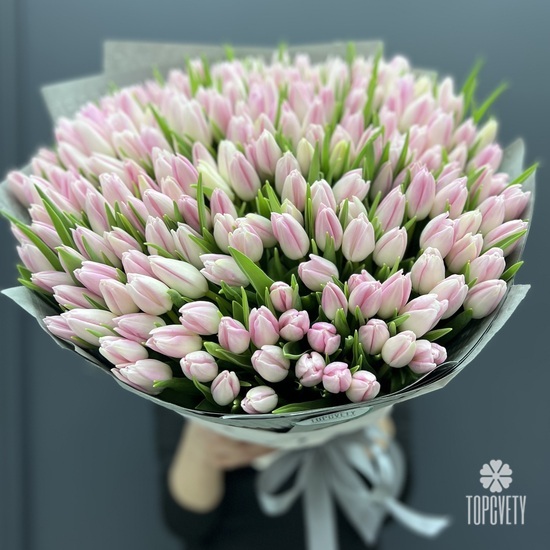 Букет из 251 тюльпана