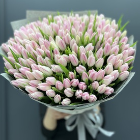 Букет из 251 тюльпана