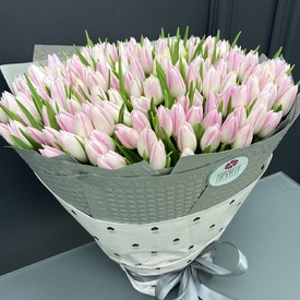 Букет из 251 тюльпана