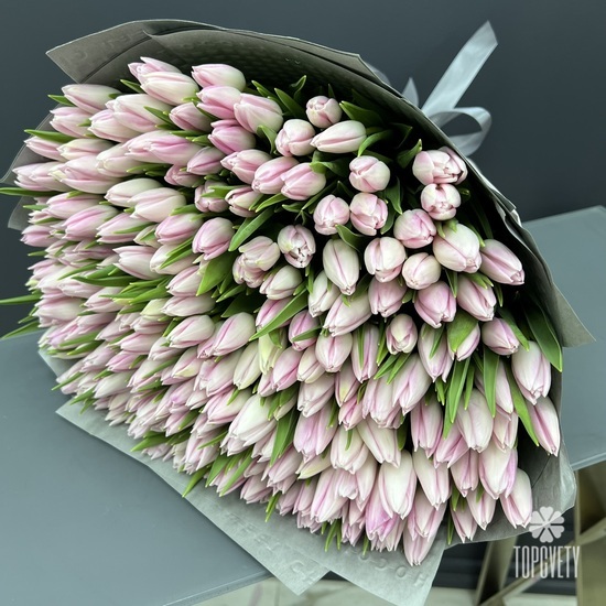Букет из 251 тюльпана