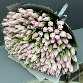 Букет из 251 тюльпана
