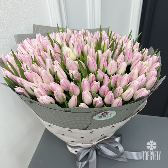 Букет из 251 тюльпана