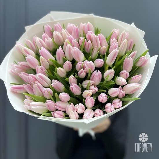 Букет из 101 розового тюльпана