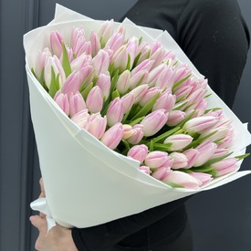 Букет из 101 розового тюльпана