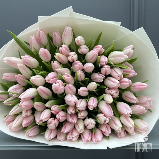 Букет из 101 розового тюльпана