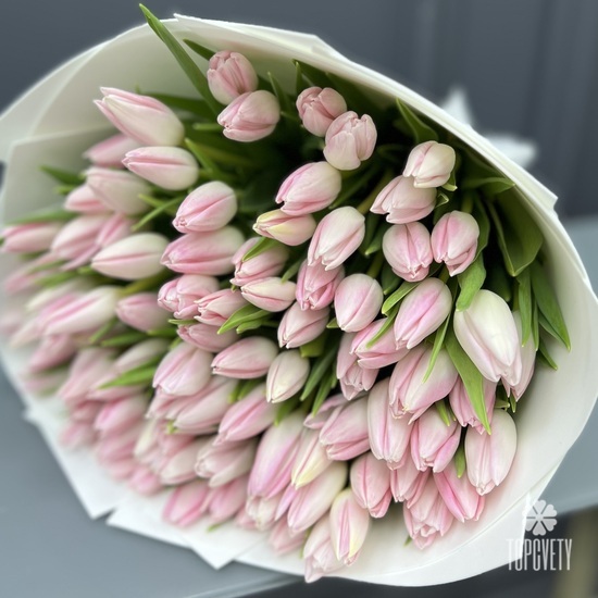 Букет из 101 розового тюльпана