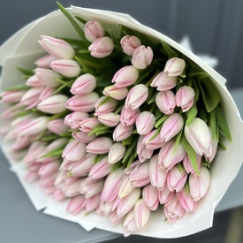 Букет из 101 розового тюльпана