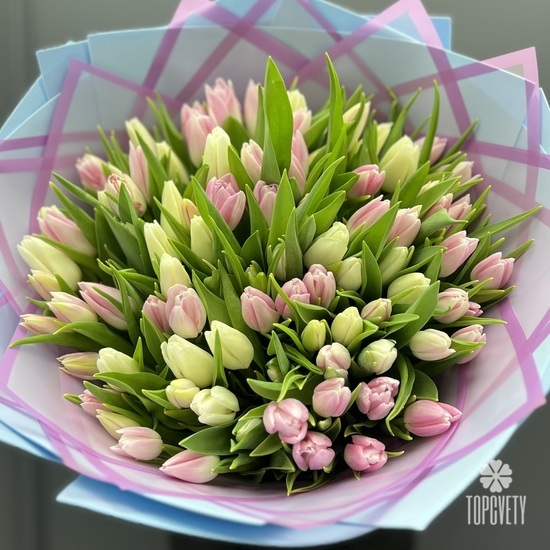 Букет из 101 розовых и белых тюльпанов