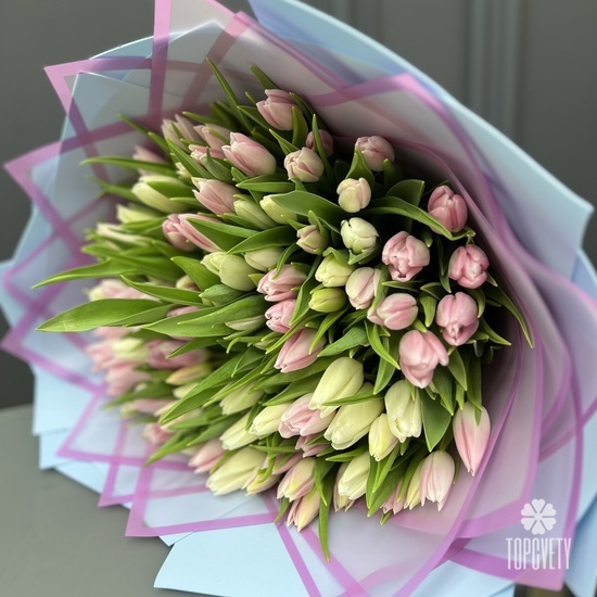 Букет из 101 розовых и белых тюльпанов