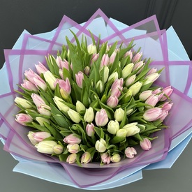 Букет из 101 розовых и белых тюльпанов