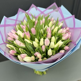 Букет из 101 розовых и белых тюльпанов