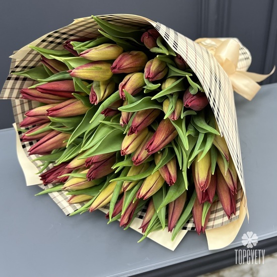 Букет из 51 тюльпана