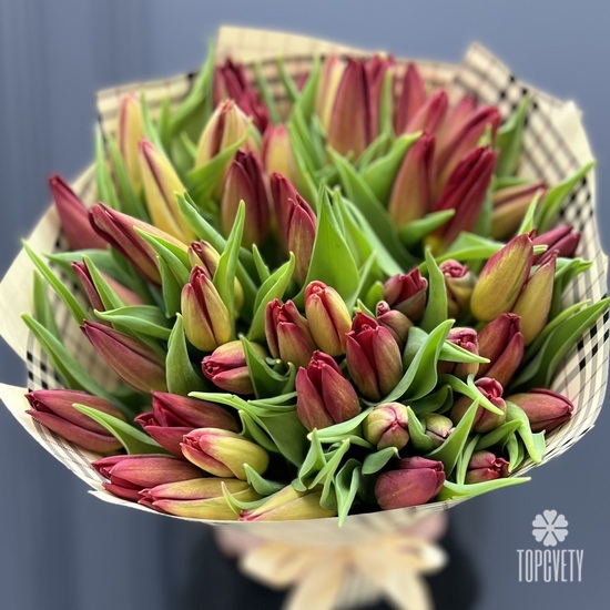 Букет из 51 тюльпана