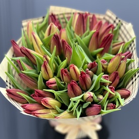 Букет из 51 тюльпана