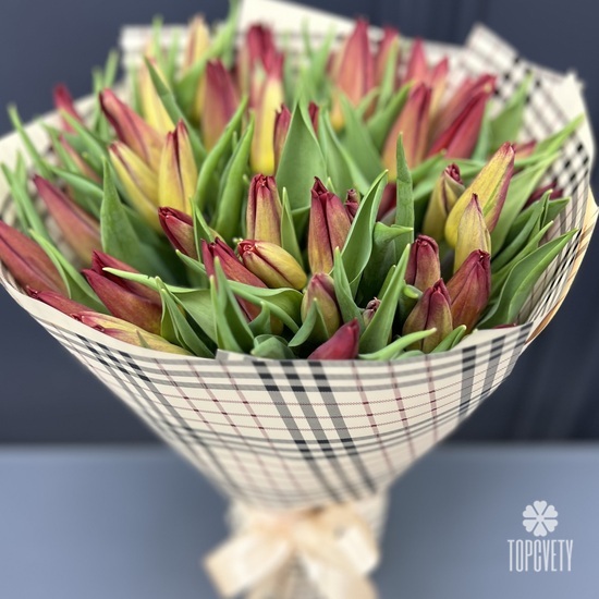 Букет из 51 тюльпана