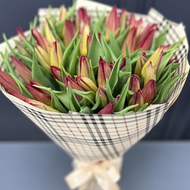 Букет из 51 тюльпана