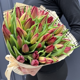 Букет из 51 тюльпана