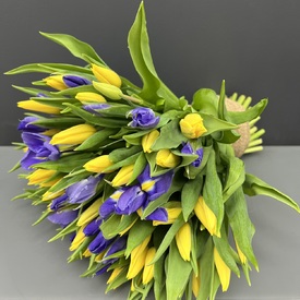 Букет из 51 тюльпана и ириса