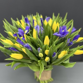 Букет из 51 тюльпана и ириса