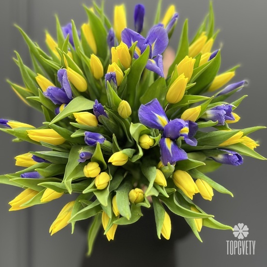 Букет из 51 тюльпана и ириса