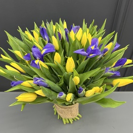 Букет из 51 тюльпана и ириса