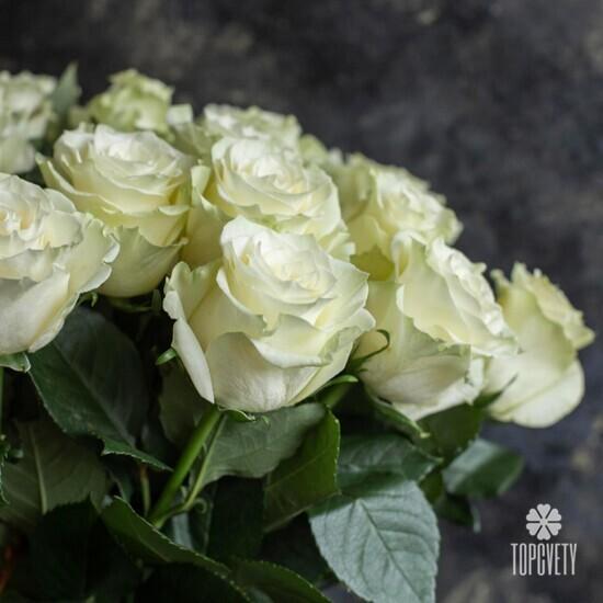 Букет из 51 белой розы Мондиаль 70см