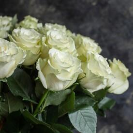 Букет из 51 белой розы Мондиаль 70см