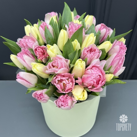 Букет из 35 пионовидных тюльпанов в шляпной коробке