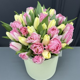 Букет из 35 пионовидных тюльпанов в шляпной коробке