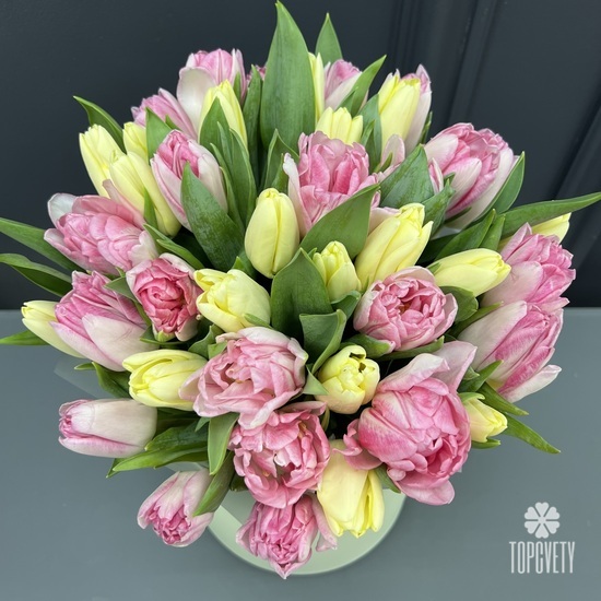 Букет из 35 пионовидных тюльпанов в шляпной коробке