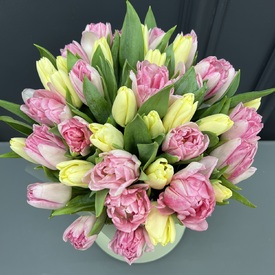 Букет из 35 пионовидных тюльпанов в шляпной коробке